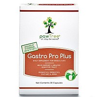 Gastro pro plus